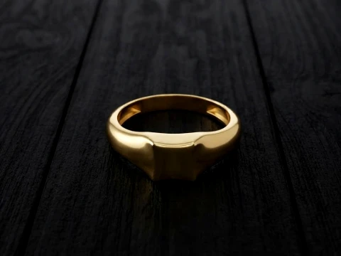 Jewelry Ring v3 L Size 3D print model 3Dプリントモデル