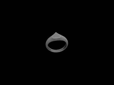 Jewelry Ring v12 L Size 3D print model 3D Print Model