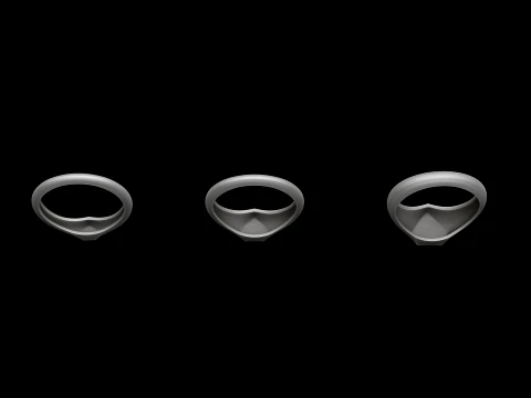 Jewelry Ring v12 S M L Sizes Pack 3D Print Model