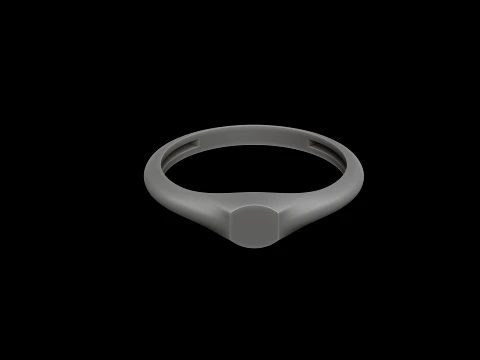 Jewelry Ring v14 S Size 3D print model 3D Print Model