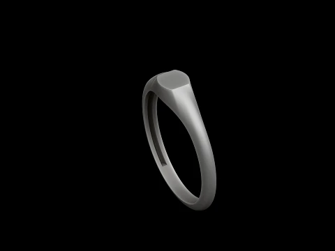 Jewelry Ring v14 S Size 3D print model 3D Print Model