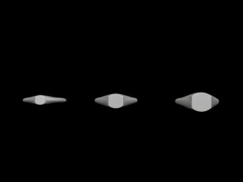 Jewelry Ring v14 S M L Sizes Pack 3D Print Model
