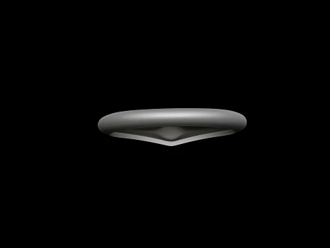 Jewelry Ring v17 S Size 3D print model 3D Print Model