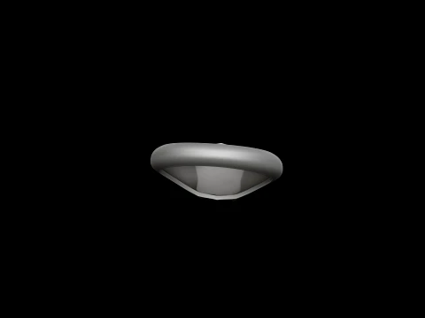 Jewelry Ring v20 L Size 3D print model 3D Print Model