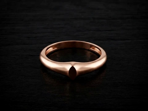 Jewelry Ring v24 S Size 3D print model 3D 프린트 모델