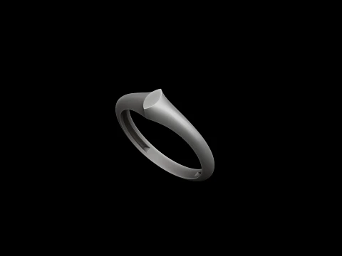 Jewelry Ring v24 S Size 3D print model 3D Print Model