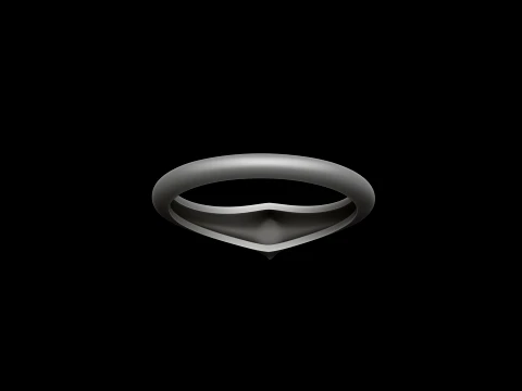 Jewelry Ring v24 S Size 3D print model 3D Print Model