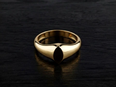 Jewelry Ring v24 L Size 3D print model 3D 프린트 모델