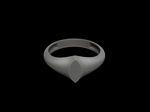 Jewelry Ring v24 L Size 3D print model 3D Print Model