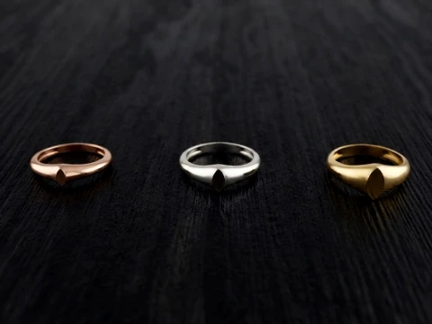 Jewelry Ring v24 S M L Sizes Pack 3D Print Model