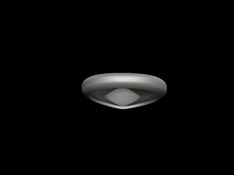 Jewelry Ring v27 L Size 3D print model 3D Print Model