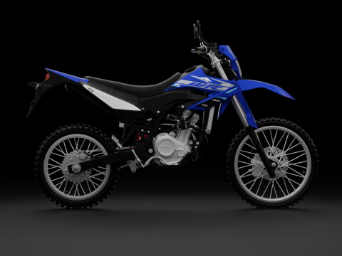 2019 - Yamaha WR155R 3D Model