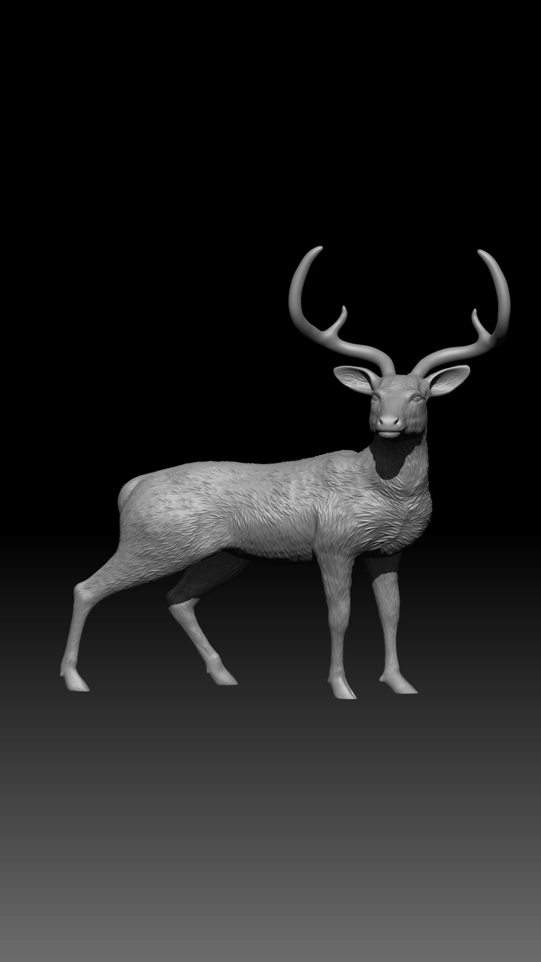 Chinkara 3D Print Model .c4d .max .obj .3ds .fbx .stl .blend