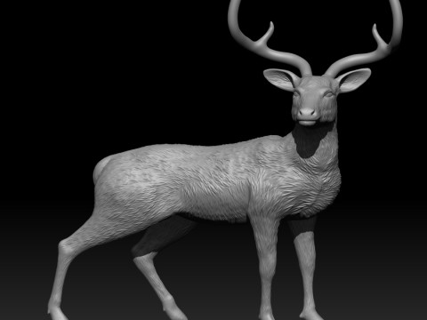 Chinkara 3Dプリントモデル