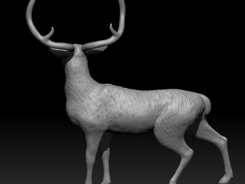 Chinkara Modelo de impresión 3D