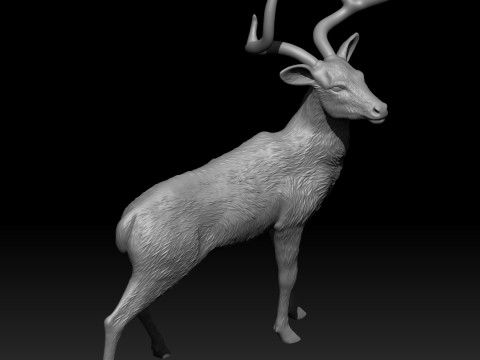 Chinkara Modelo de impresión 3D