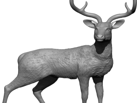 Chinkara Modelo de impresión 3D