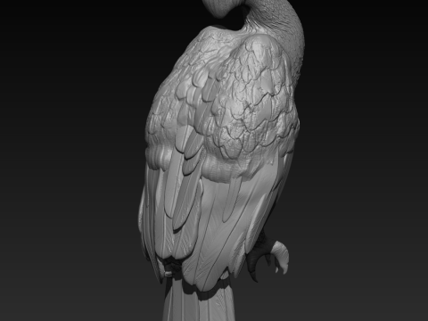 HORNBILL 3Dプリントモデル