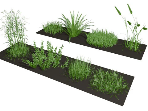 Juncos e grama de ervas Modelo 3D