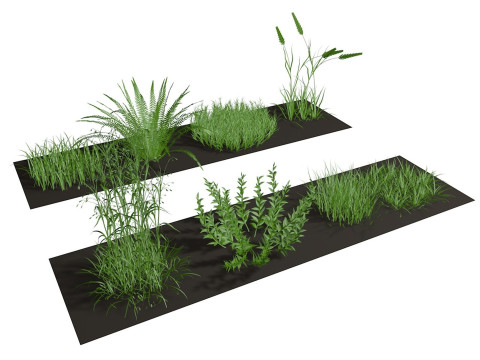 Herbage reeds and grass 3D-Modell