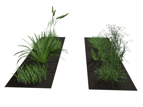 Herbage reeds and grass 3D-Modell