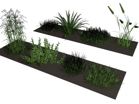 Herbage reeds and grass 3D-Modell