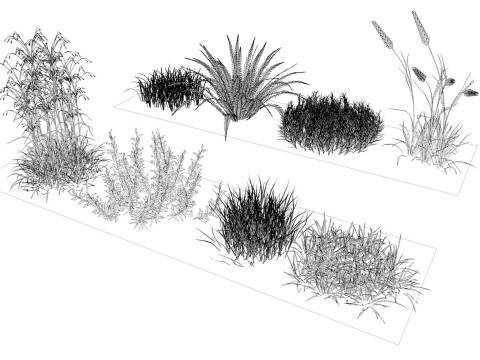 Herbage reeds and grass 3D-Modell