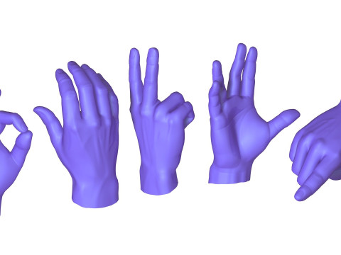 Male Hands 5 models 3Dモデル