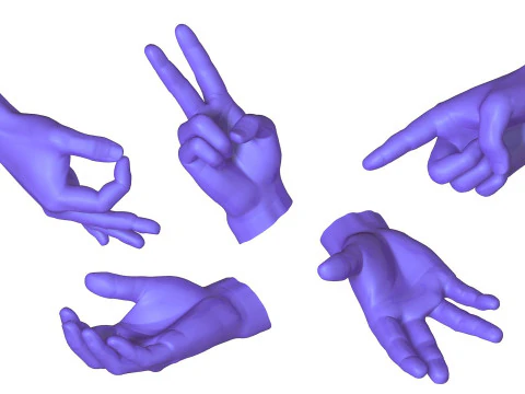 Male Hands 5 models 3D Model
