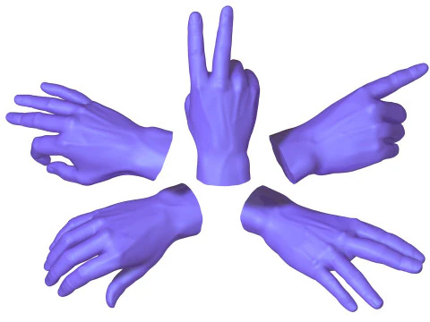 Male Hands 5 models 3D Model
