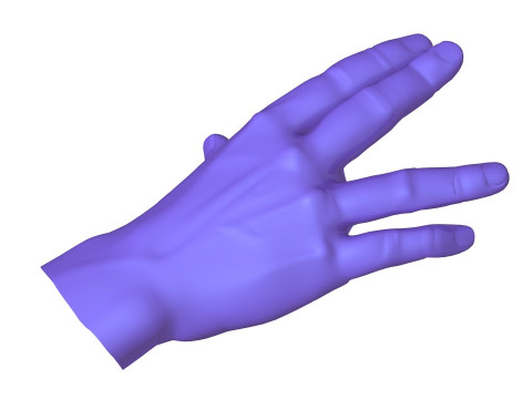 Male Hands 5 models 3Dモデル