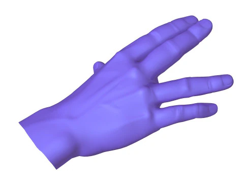 Male Hands 5 models 3D Model