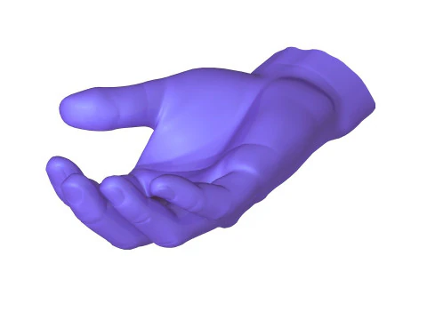 Male Hands 5 models 3D Model