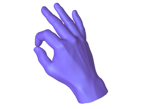 Male Hands 5 models 3Dモデル