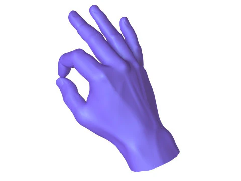 Male Hands 5 models 3D Model