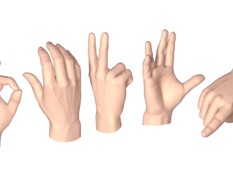 Male Hands 5 models 3D Model