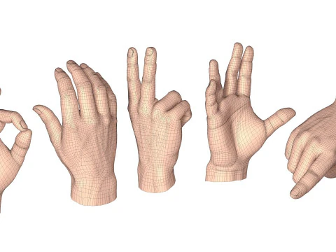 Male Hands 5 models 3D Model