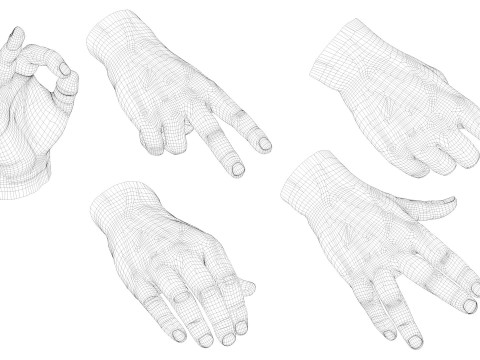 Male Hands 5 models 3Dモデル