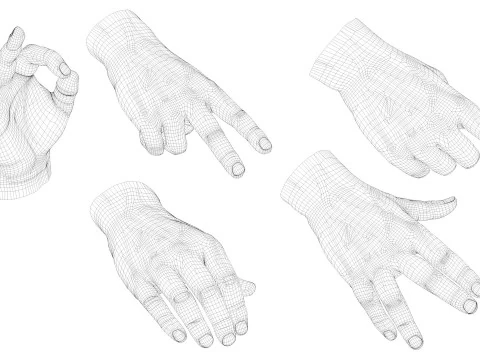 Male Hands 5 models 3D Model