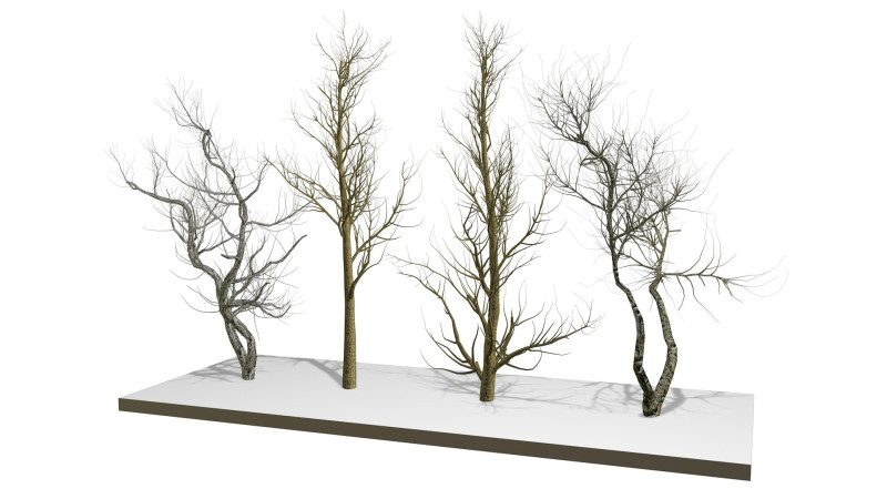 Bare trees 3Dモデル .c4d .max .obj .3ds .fbx .stl .blend 
