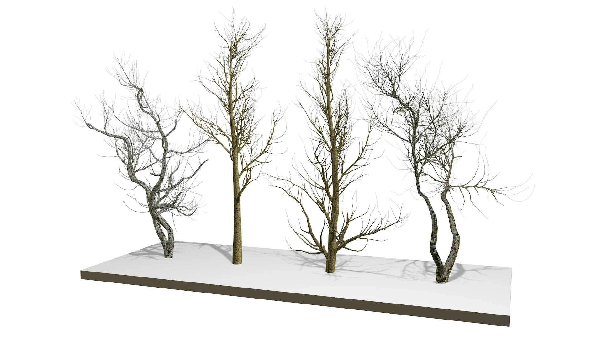 裸木 3Dモデル .c4d .max .obj .3ds .fbx .stl .blend 