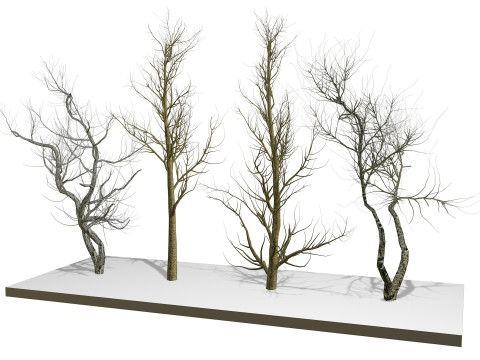 Bare trees 3Dモデル