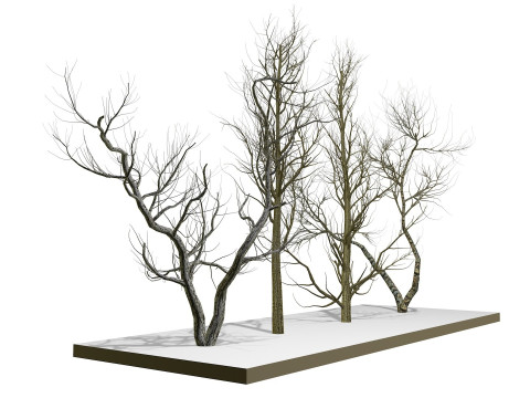 Bare trees 3Dモデル