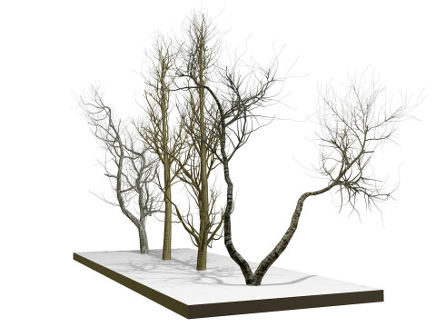 Bare trees 3Dモデル
