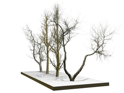裸木 3Dモデル