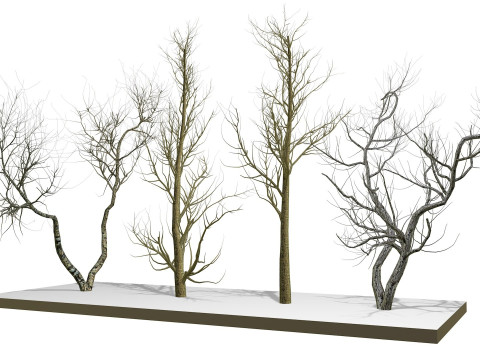 Bare trees 3Dモデル
