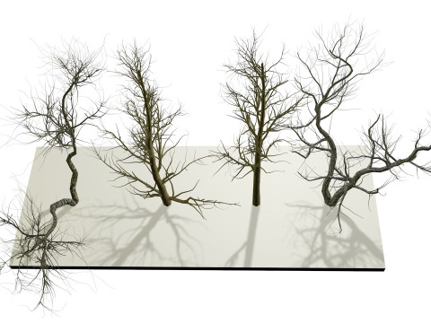 Bare trees 3Dモデル