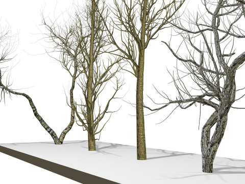 Bare trees 3Dモデル