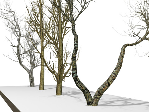 Bare trees 3Dモデル