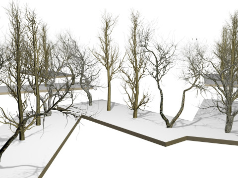 Bare trees 3Dモデル